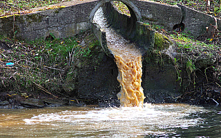 Ruszył proces o zanieczyszczenie rzeki Łyny. Na ławie oskarżonych prezes spółdzielni mleczarskiej Polmlek Ruszył proces o zanieczyszczenie rzeki Łyny. Na ławie oskarżonych prezes spółdzielni mleczarskiej Polmlek